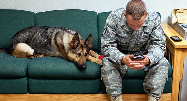 Gina, a highly trained bomb-sniffing dog with the U.S. military, joins  Staff Sgt. Chris Kench on a sofa at the kennel at Peterson Air Force Base in Colorado Springs. She may now have PTSD. 