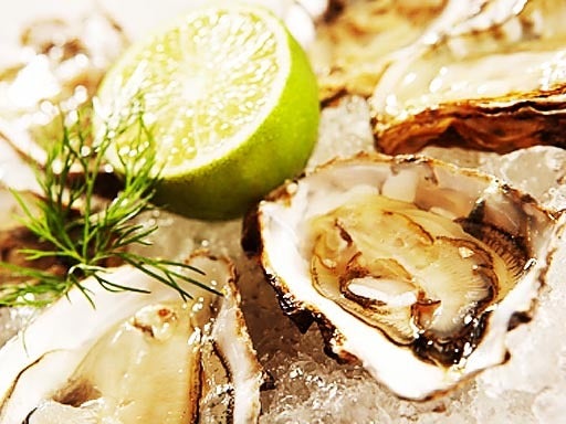 Oysters.jpg 