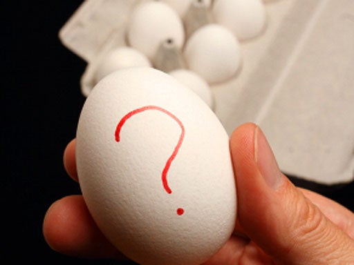 egg, salmonella, recall, food recall, generic, stock 