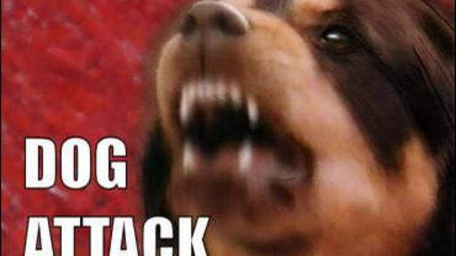 dog_attack_generic.jpg 