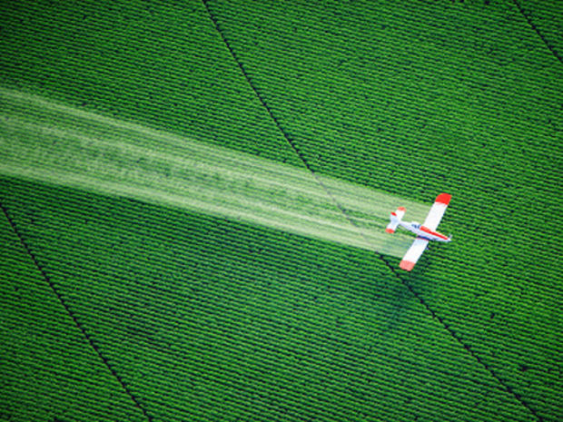 crop duster, dusting, pesticides, herbicides 