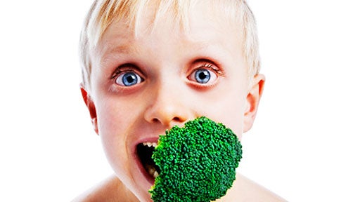 Frankenfood: Does it Deserve the Name? 