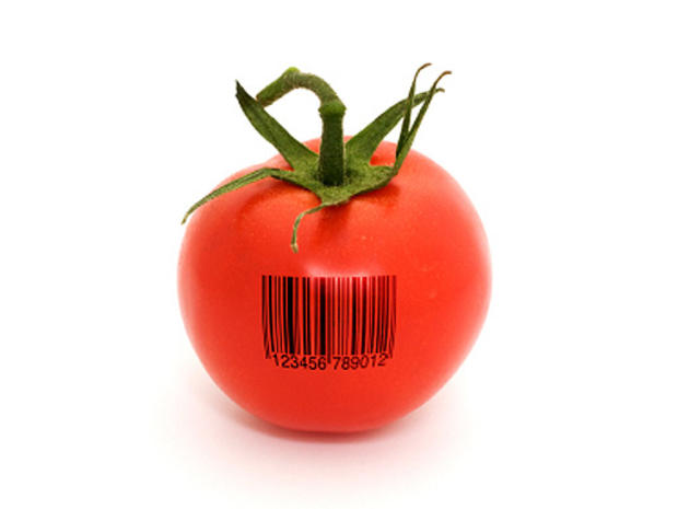 gm, genetically modified food 