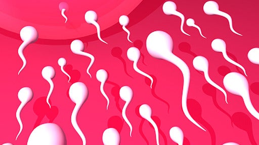 Sperm: 15 crazy things you should know 
