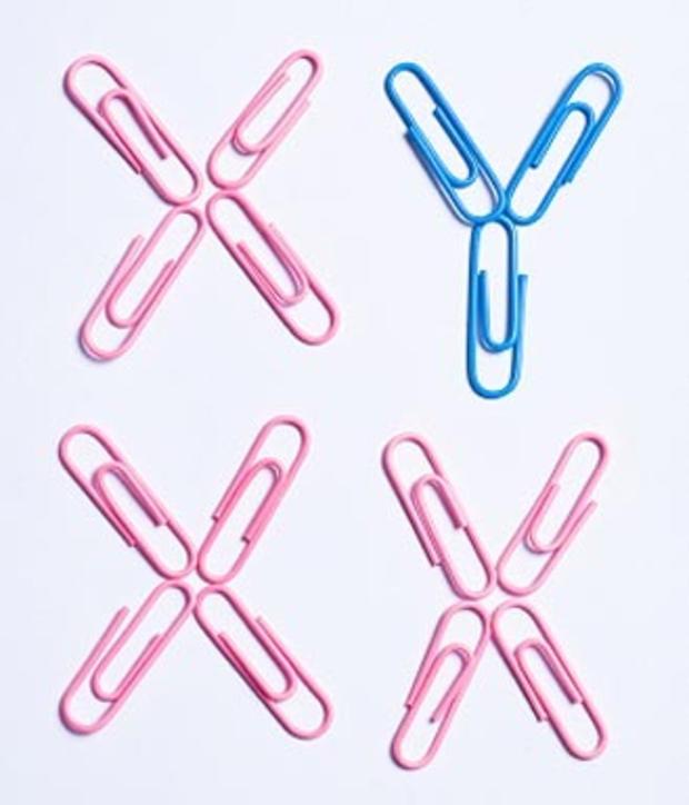 xy chromosome, y chromsome 