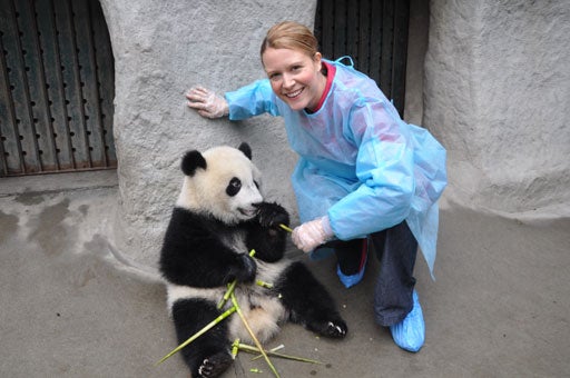 Inside a Panda Sanctuary