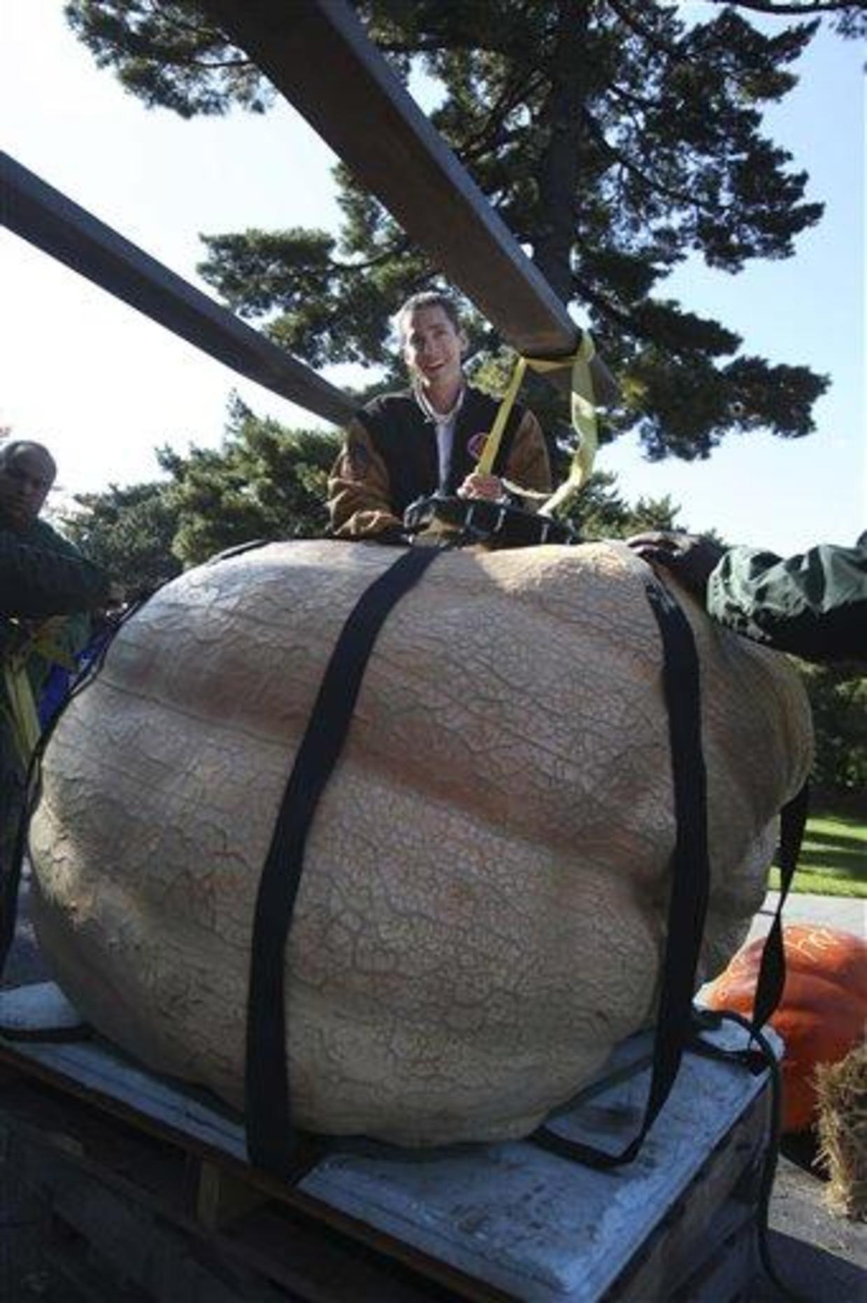 world-s-heaviest-pumpkin