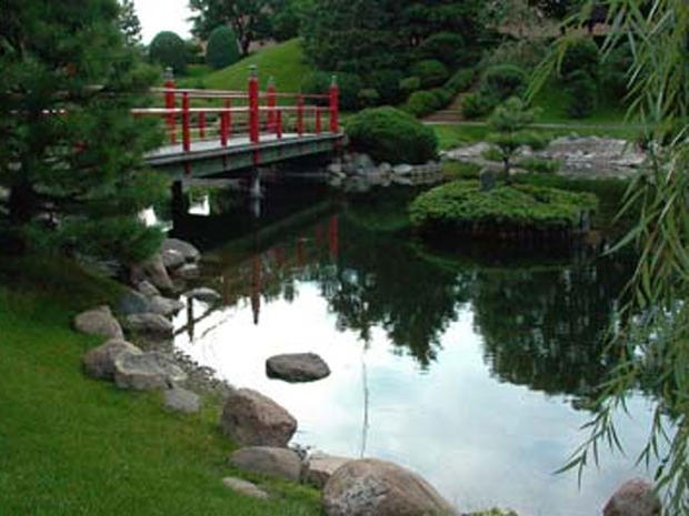 The Japanese Garden 