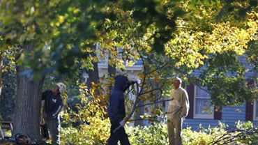 Study Finds Criminals Avoid Homes Near Big Trees 