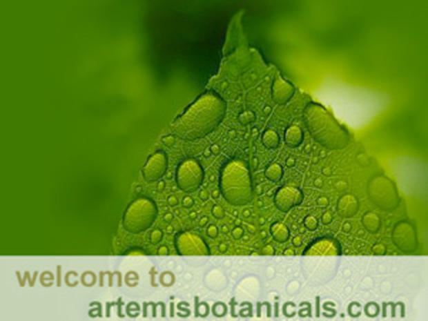 www.artemisbotanicals.com 