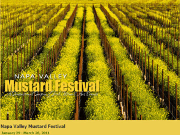Mustard Festival 
