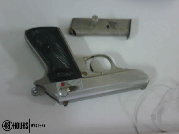 gun-IMG00171-20100711-0904.jpg 