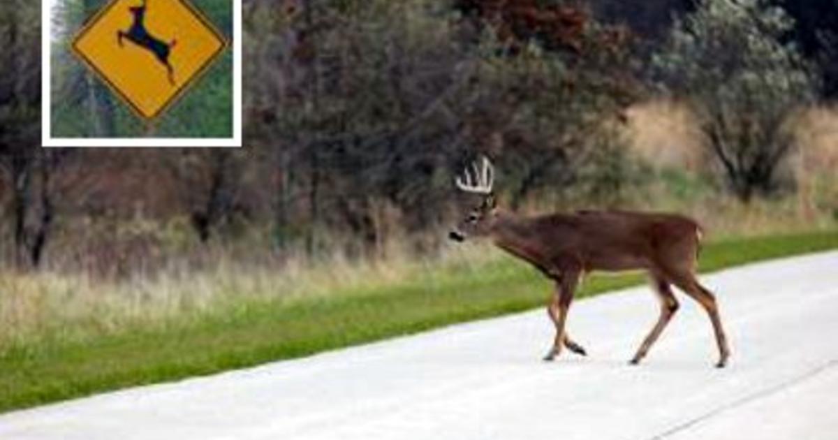 Iowa Department of Transportation on deer crossing signs
