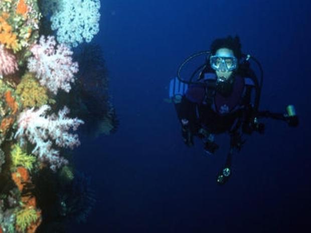 Scuba Diver On Reef 