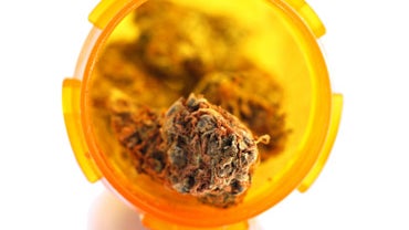 Soldiers Accused In Colo. Pot Burglary Say Plan Was To Destroy Marijuana, Not Smoke It 