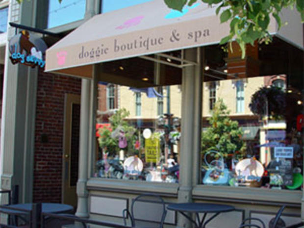 Dog Savvy, Doggie Boutique and Spa 