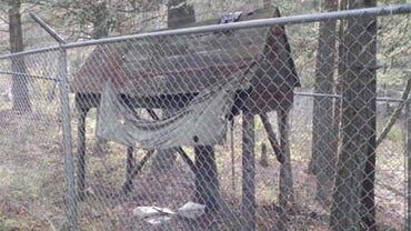 Unabomber's Montana Property for Sale, Listing Offers "Piece of Infamous U.S. History" 