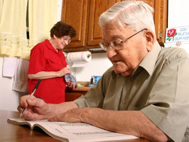 Alzheimer's brain plaques prevented by lifetime of puzzles, study ...