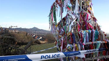 Glastonbury Holy Tree 