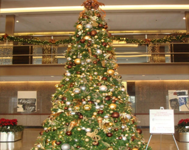 Prudential Plaza Tree 