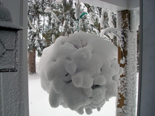 snowball.jpg 