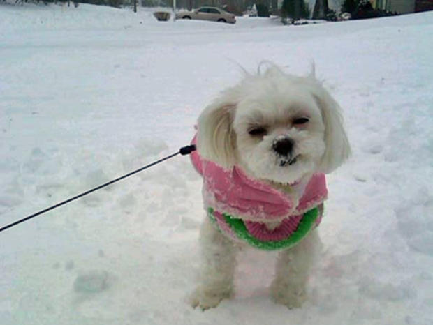 rosalie-snow.jpg 