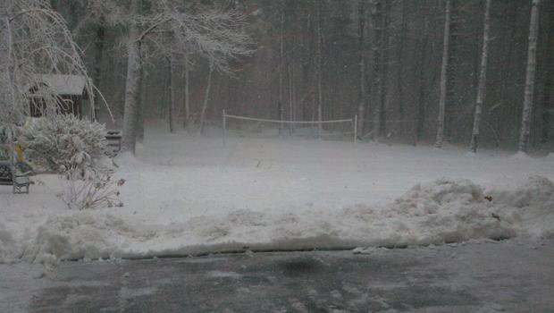 backyard-volleyball-court.jpg 