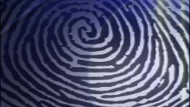 fingerprint.jpg 