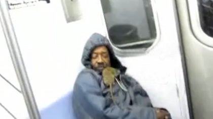 rat-on-subway.jpg 