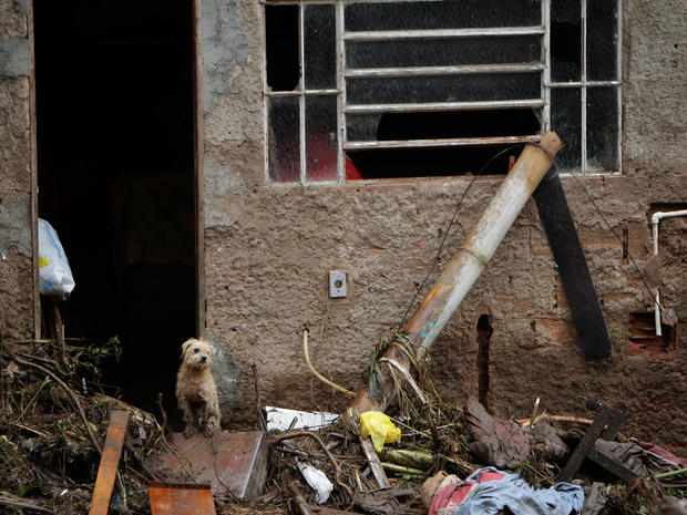 A dog stands at the entrance of a damaged house after a landslide in Teresopolis, Brazil. 
