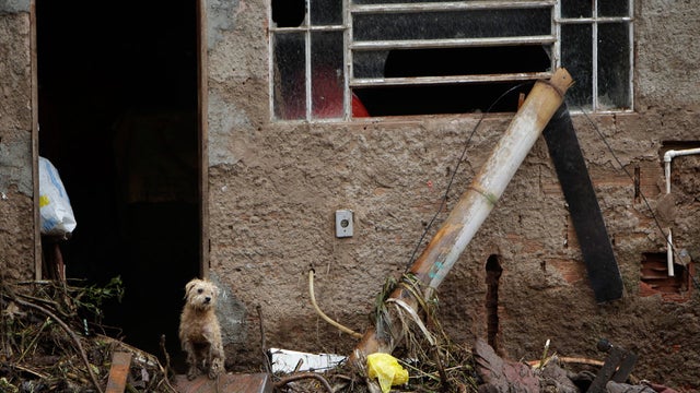 A dog stands at the entrance of a damaged house after a landslide in Teresopolis, Brazil. 