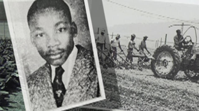 A teenage Martin Luther King, Jr. spent two summers working the tobacco fields in Connecticut.  