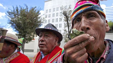Bolivia Coca Protests 