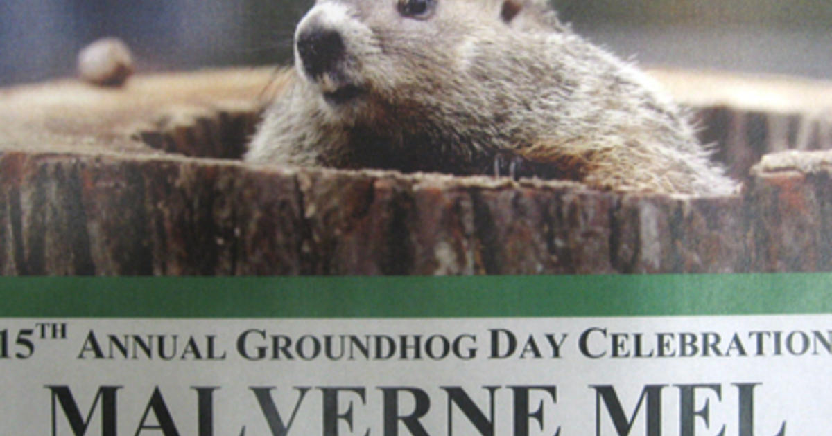 Weather Worries Cancel Groundhog Day In Malverne CBS New York