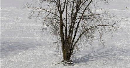 Monster Winter Storm Takes Aim At One-third Of US - CBS News