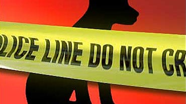 Woman Charged in Puppy Mailing, Police Say 