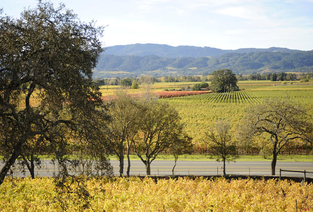 napa valley vineyard 
