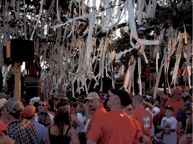 Toomer s Corner Poisoned: Auburn U. Landmark Oaks May Not Survive 