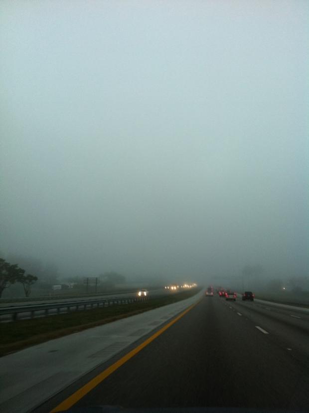 fog5.jpg 
