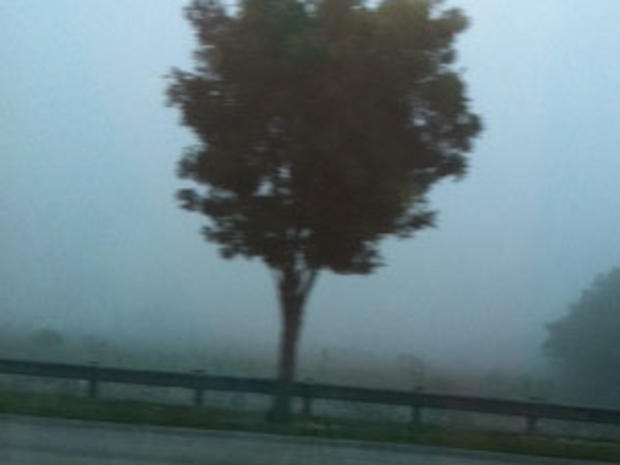 fog11.jpg 