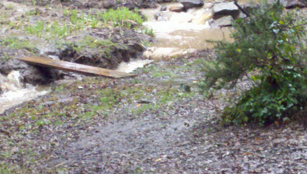 creek-into-cosumnes-river.jpg 