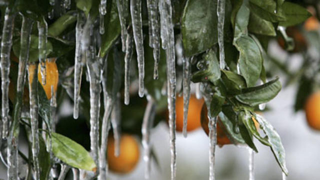 frozen-crops.jpg 