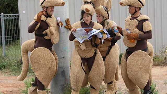 Dressed as Kangaroos teams must find a specific intersection using only the periodic table of elements this Sunday on Amazing Race! 