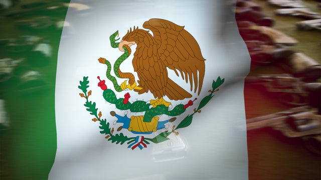 Mexico flag over Handguns 