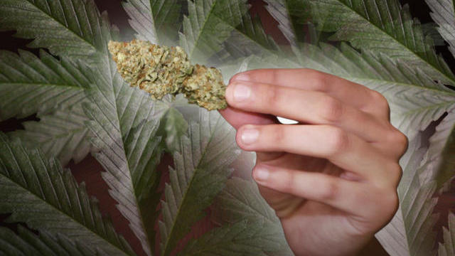 medical-marijuana.jpg 