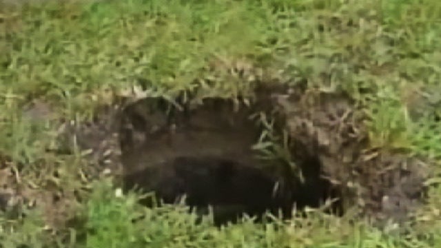 extra_329_SINKHOLE.jpg 