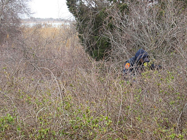 Long Island serial killer? Police find bones in new search area 