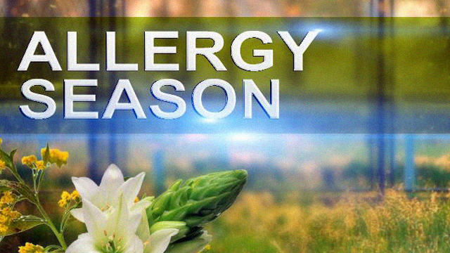 allergy-season.jpg 