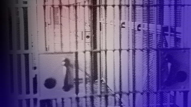 Thieves targeting under-construction Va. Jail 