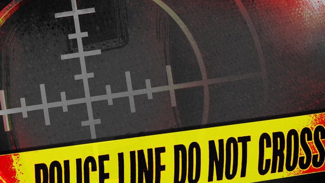 "Flash mob" on Venice boardwalk ends in shooting 